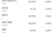 梦见打架6月13日美股成交额前20：特斯拉本周上涨逾10%，美国将为自动驾驶出租车开绿灯