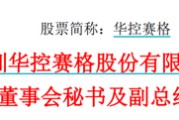 梦见打架华控赛格董事长、董秘、副总经理三高管同日辞职