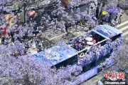 梦见打架2024年云南重点高原湖泊水质稳定 抚仙湖达Ⅰ类